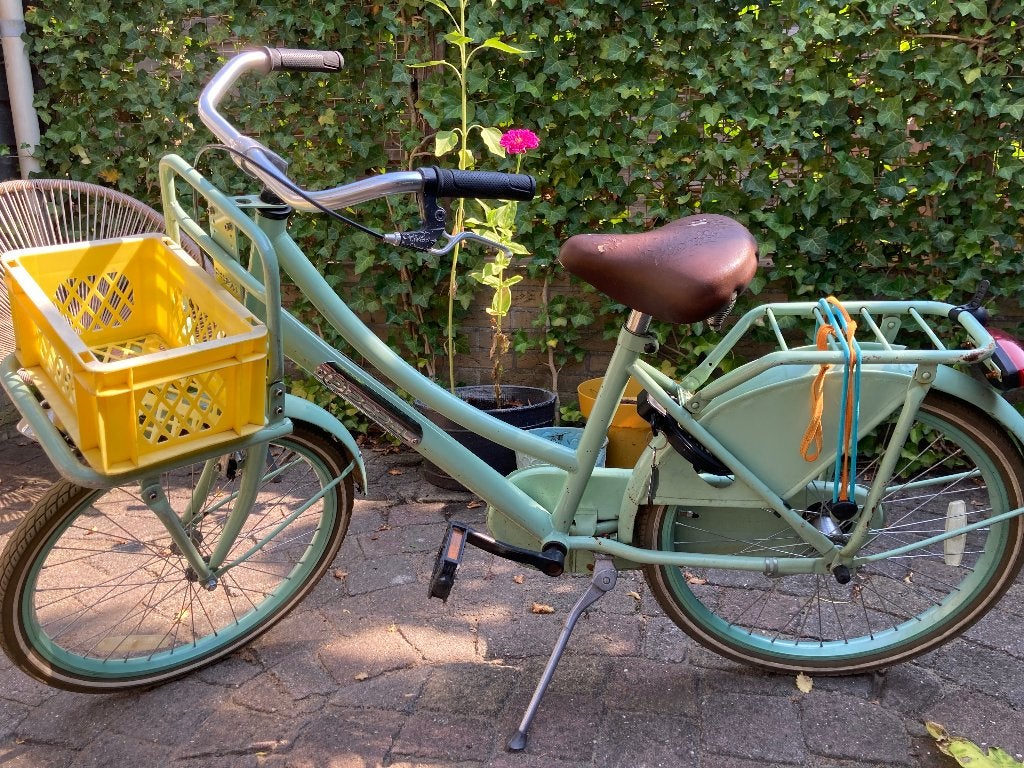 Meisjesfiets 20 inch, Ophalen, Gebruikt, 20 inch, Popal