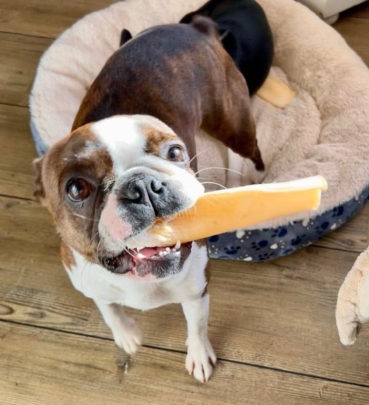 Kauwchips botjes Buffelhuid kluifjes ✅ 1 kg €23,- 2 kg €40,-, Ophalen of Verzenden, Hond