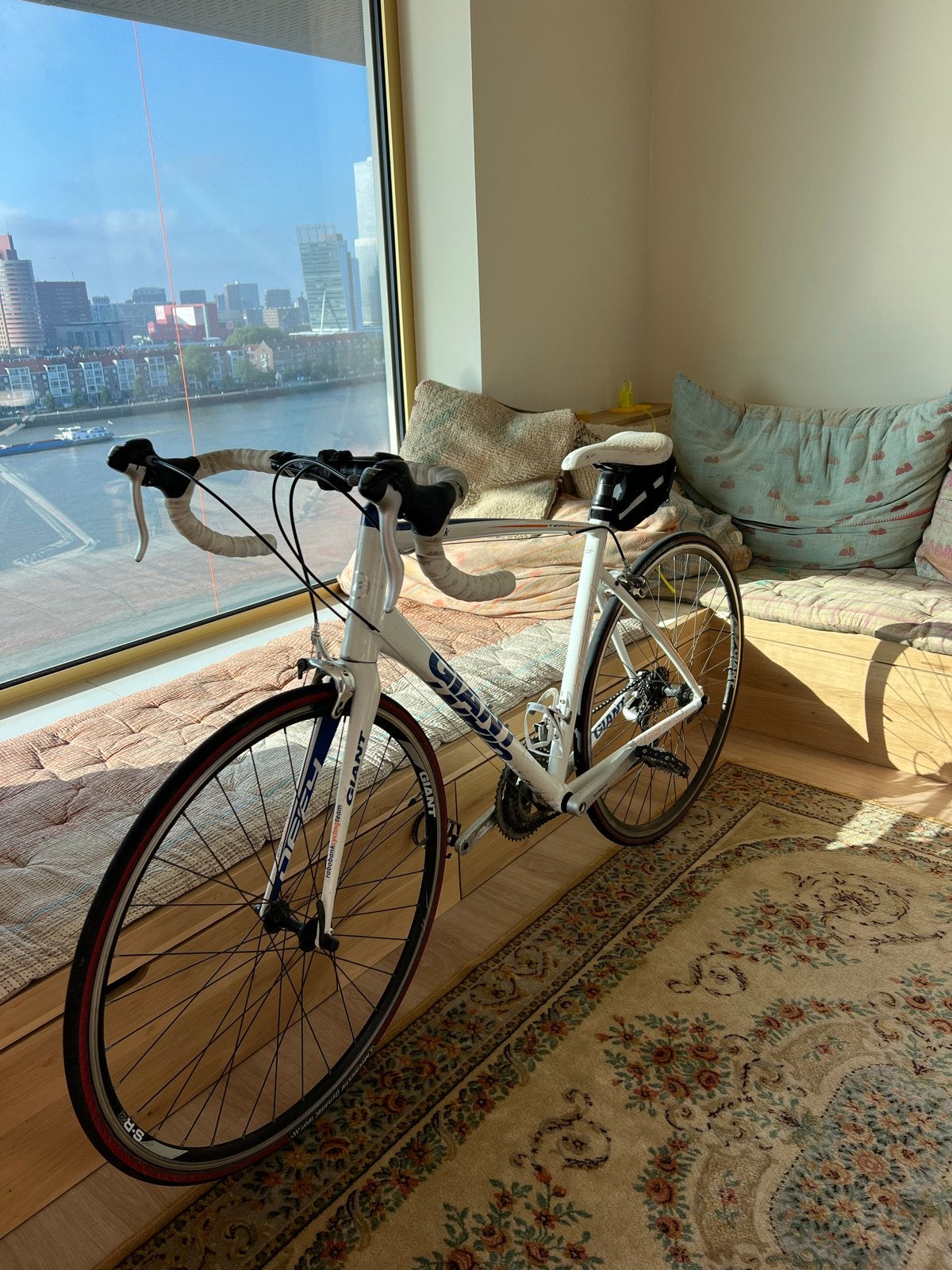 Giant Defy Racefiets Team Rabobank - Maat L, Fietsen en Brommers, Fietsen | Racefietsen, Ophalen, Gebruikt, Aluminium, Giant
