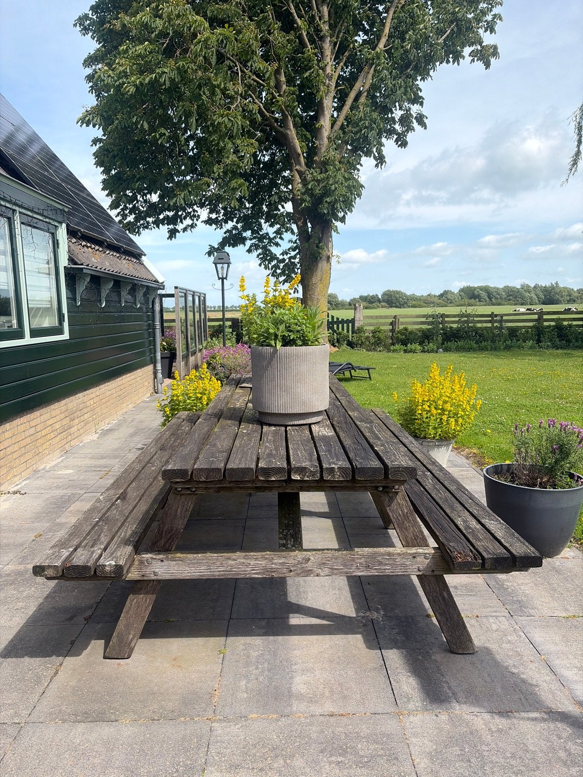Robuuste Rooijackers picknicktafel voor buiten 3 meter lang., Ophalen, Gebruikt, Rechthoekig, Hout
