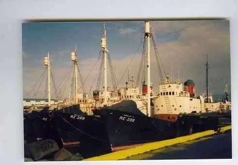 scheepvaart-foto-IJSLAND-walvisjagers RE 388-RE 399-2x, Verzamelen, Ophalen of Verzenden, Zo goed als nieuw, Motorboot, Boek of Tijdschrift