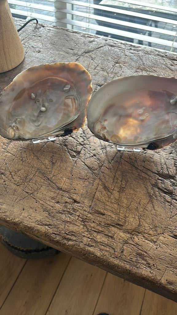 Schelpen, Antiek en Kunst, Ophalen