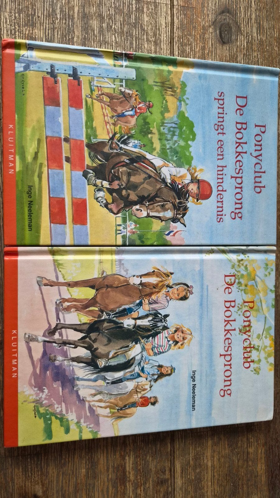 ponyclub de bokkesprong, Ophalen of Verzenden, Fictie algemeen