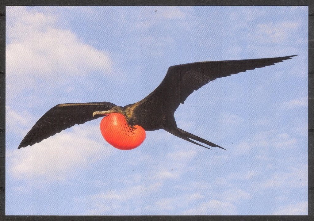 Fregatvogel, Verzamelen, Verzenden, 1980 tot heden, Ongelopen, Vogel