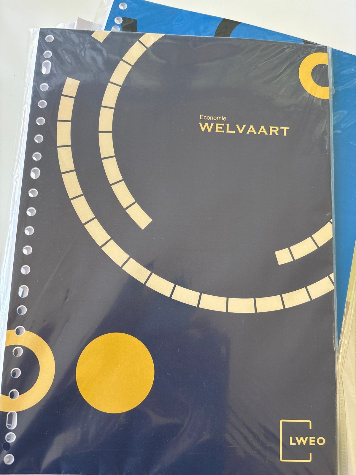 LWEO Economie lesmateriaal (diverse modules), Ophalen of Verzenden, Gamma, Nieuw, Overige niveaus