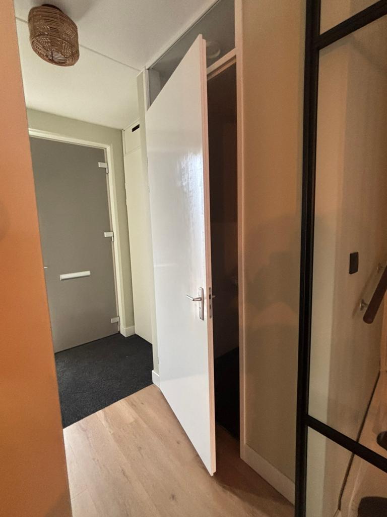 Badkamer- toiletdeur, Ophalen, Gebruikt, 80 tot 100 cm, 215 cm of meer