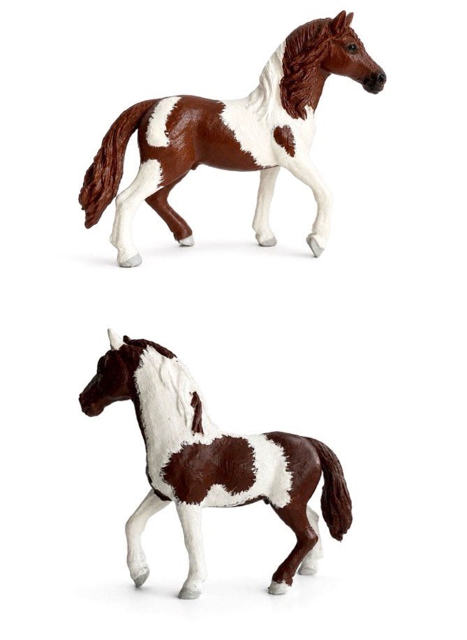 Jou paard in het minatuur!, Ophalen of Verzenden, Zo goed als nieuw, Recreatie