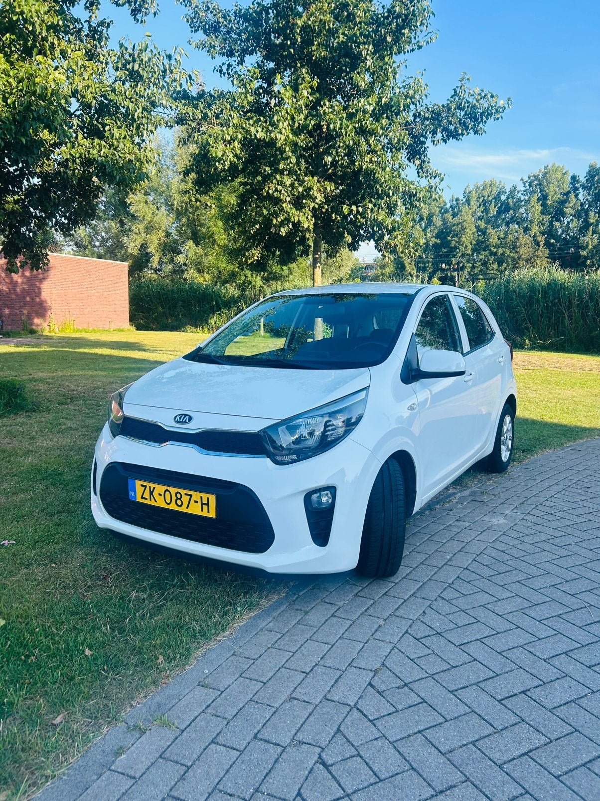 Kia Picanto DynamicLine 1.0 MPi  | CarPlay | Airco | Cruise, Auto's, Kia, Voorwielaandrijving, Stof, Euro 6, Start-stop-systeem