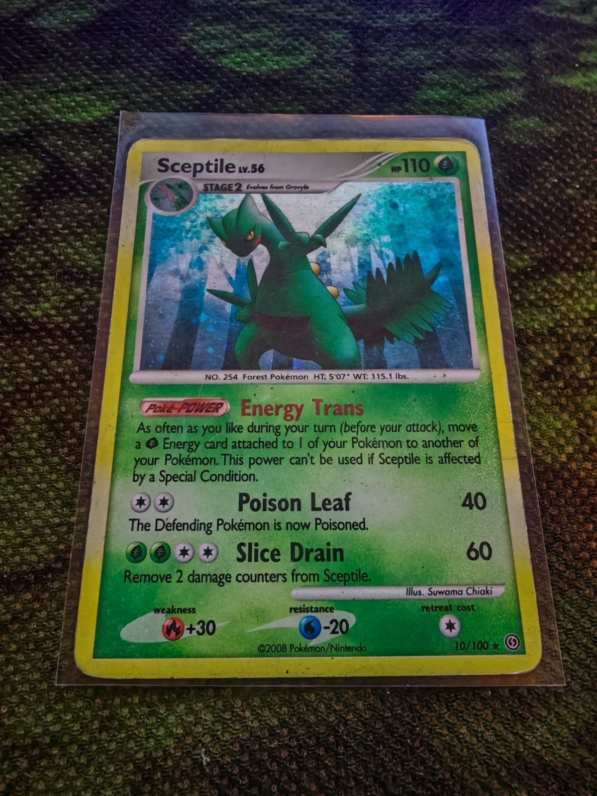 Sceptile 10/100, Ophalen of Verzenden, Zo goed als nieuw, Losse kaart