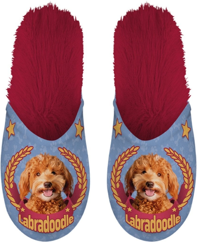 Slippers - Labradoodle - maat 39-42 - Verkoop voor goed doel, Slippers, Overige kleuren, Nieuw, Ophalen of Verzenden