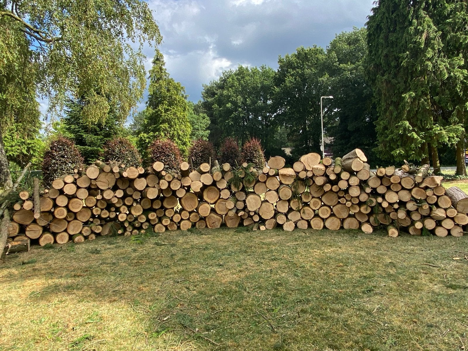 Haardhout 14 kuub gemengd hout, 6 m³ of meer, Ophalen, Overige houtsoorten, Stammen