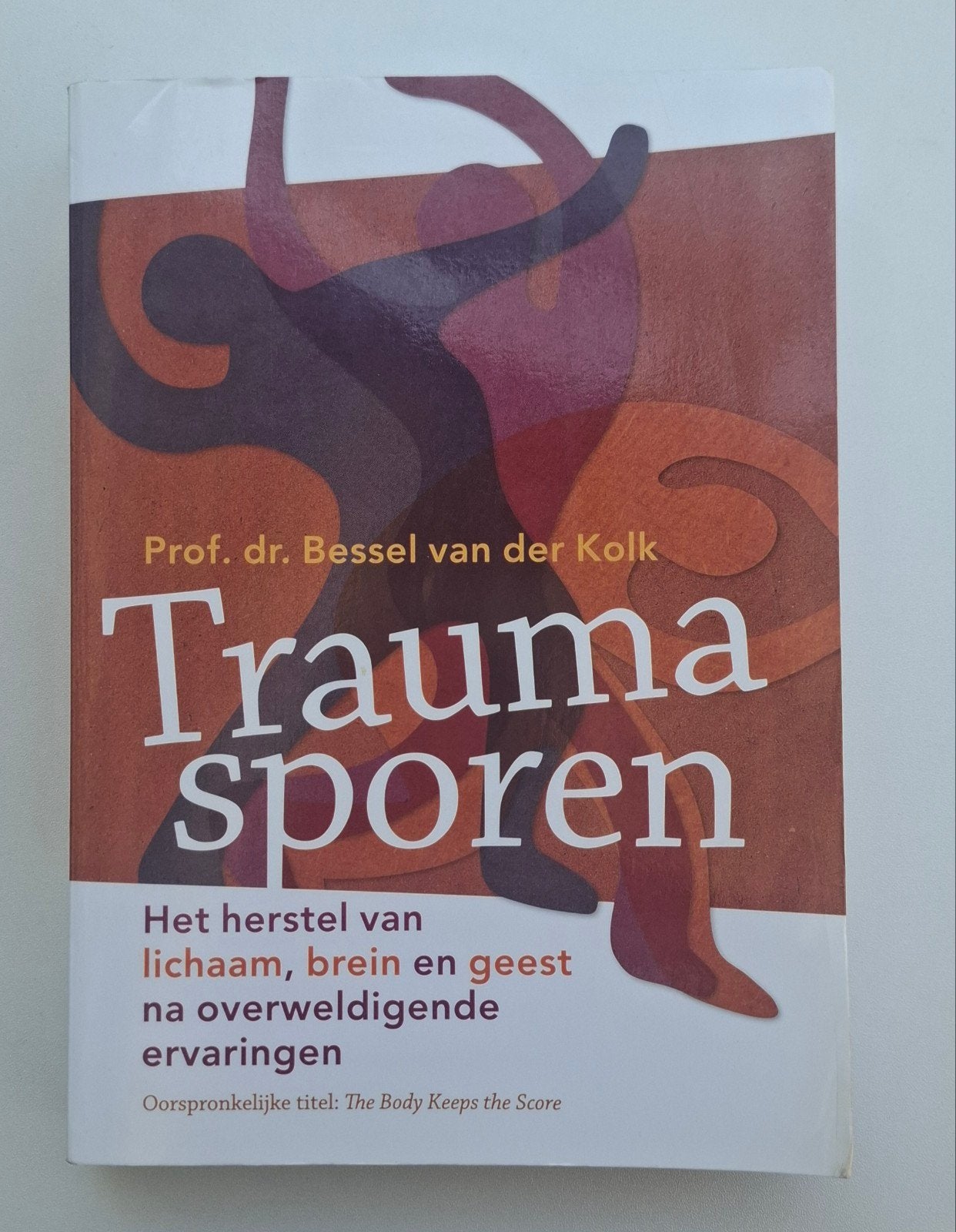 Traumasporen: Herstel na overweldigende ervaringen, Boeken, Psychologie, Ophalen of Verzenden, Zo goed als nieuw, Klinische psychologie