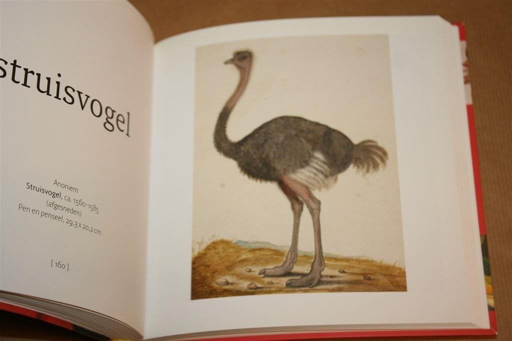 Het kleine Rijksmuseum, Ophalen of Verzenden, Zo goed als nieuw