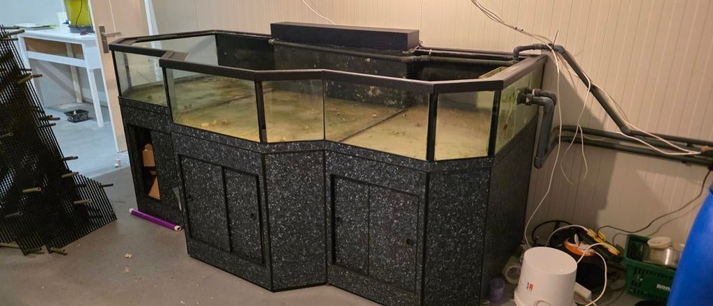Shallow aquariums voor kwekerij of hobby!, Dieren en Toebehoren, Vissen | Aquaria en Toebehoren, Ophalen, Leeg aquarium
