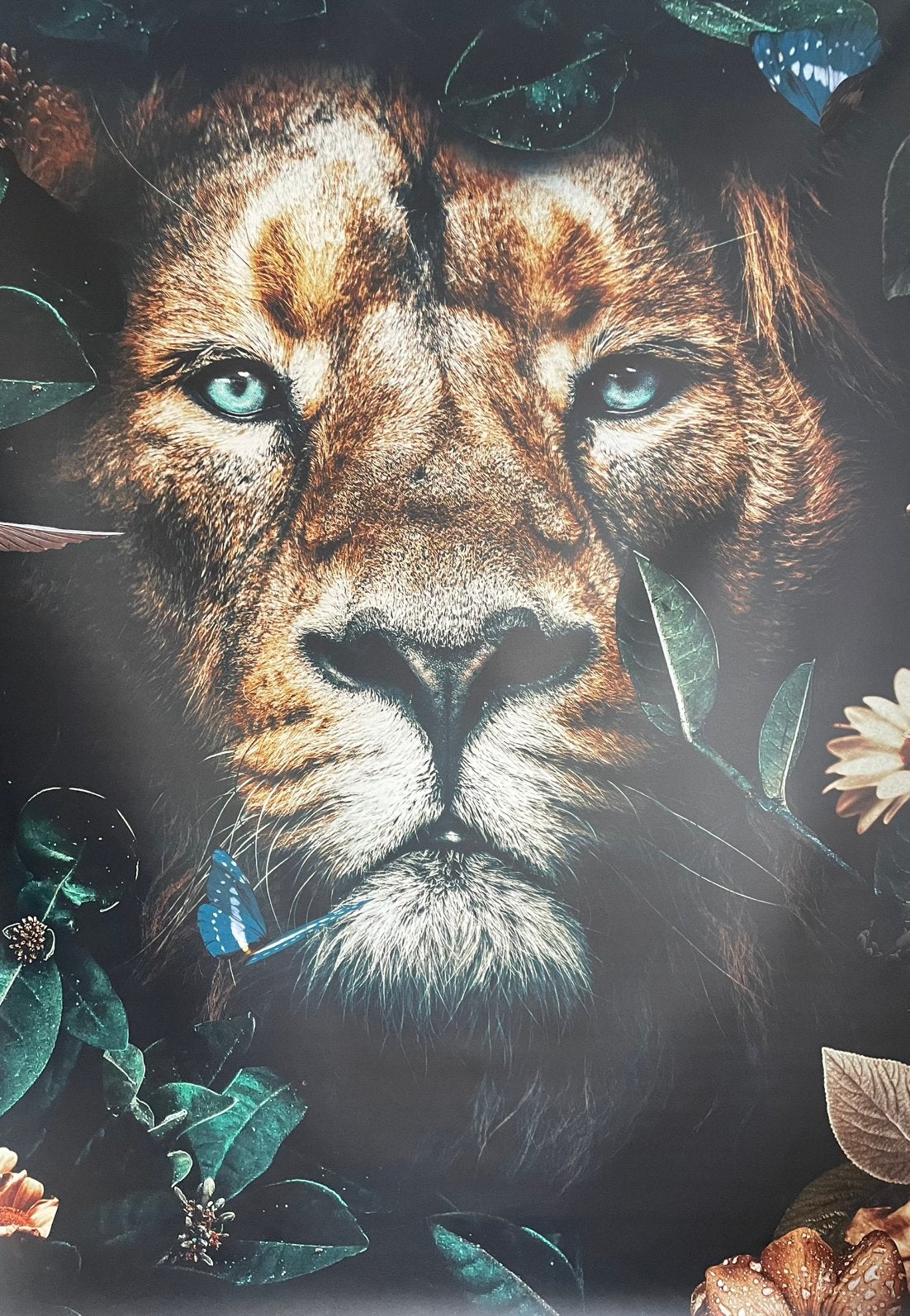 Posterjunkie XXL naadloos SanoTex behang, Ophalen