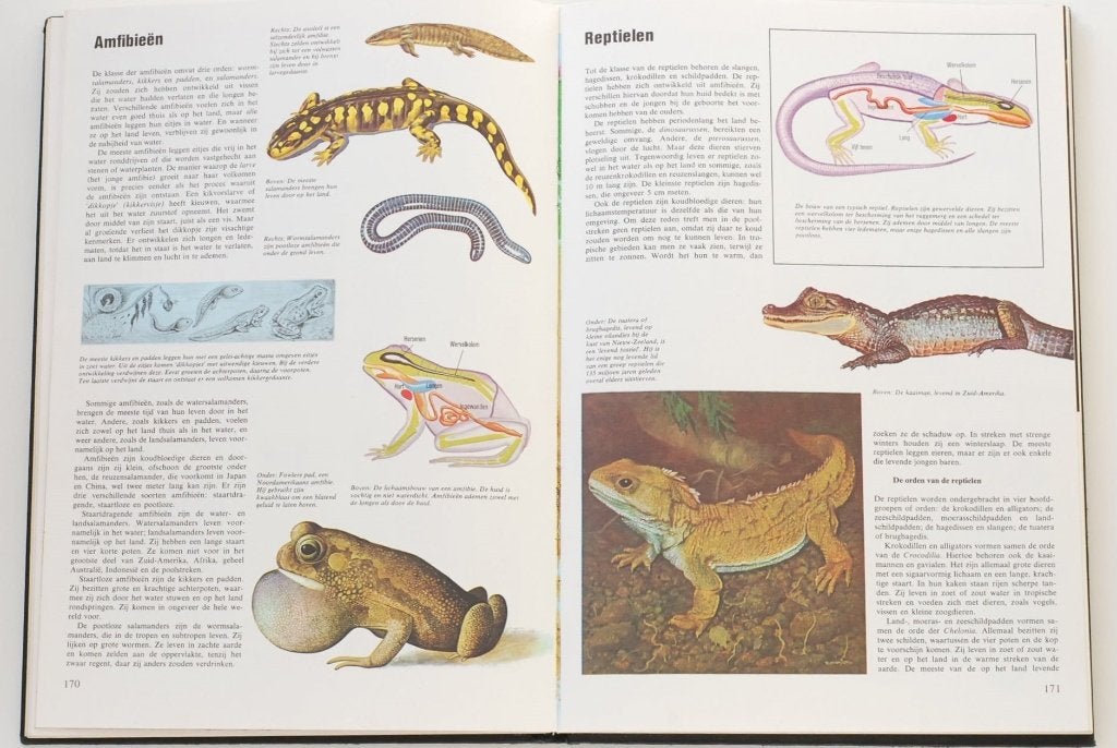 Lees- en Kijk-Encyclopedie - Algemene Kennis (1970), Boeken, Gelezen, Verzenden, Los deel, Michael W. Dempsey