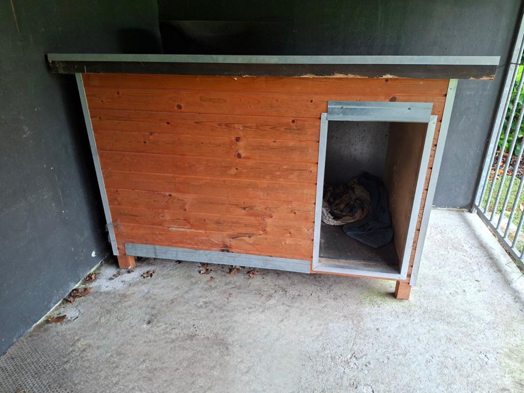 Hondenhok/nachthok, Ophalen, 110 cm of meer, 65 tot 100 cm