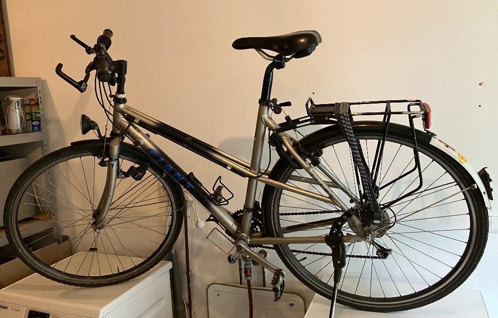 Giant expedition, Fietsen en Brommers, Fietsen | Mountainbikes en ATB, Gebruikt, Dames, Giant, 53 tot 57 cm, Velgrem, Ophalen