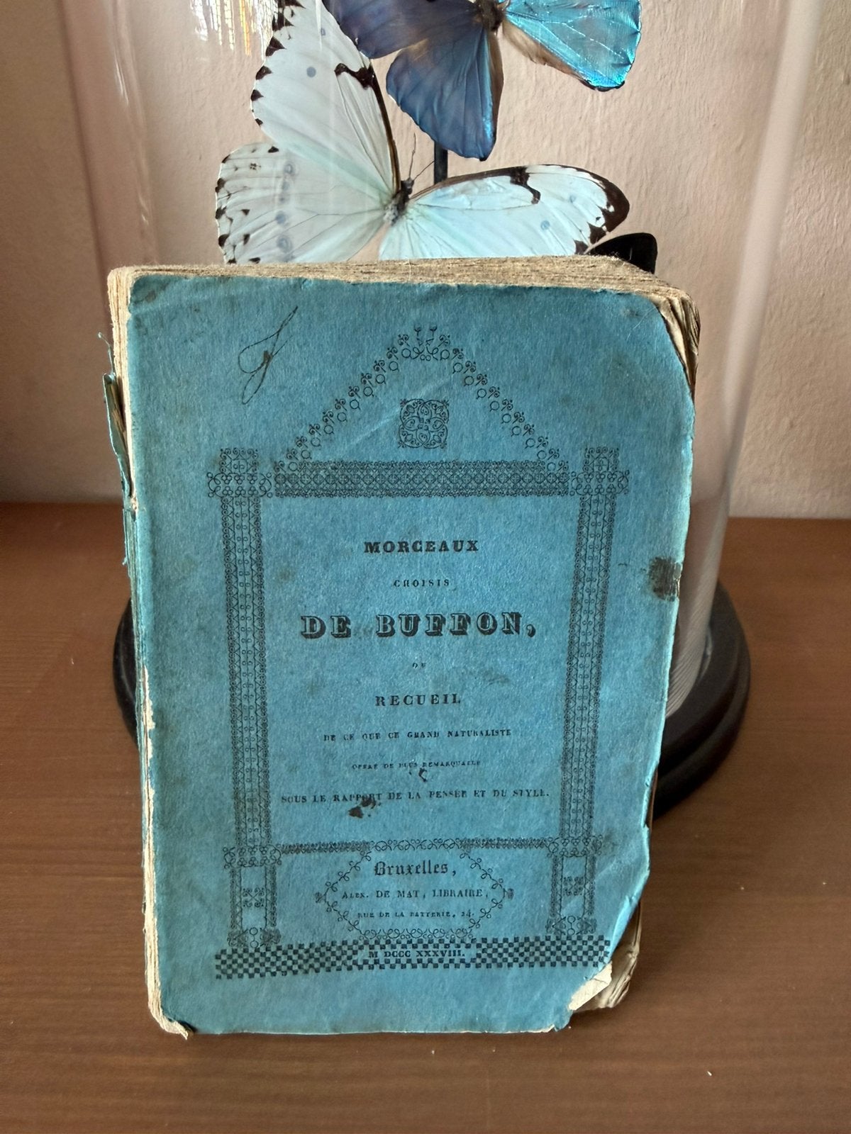 Buffon Ou Recueil 1838, Ophalen of Verzenden