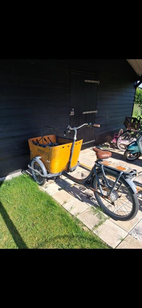 Babboe Curve Elektrische Bakfiets, 51 tot 55 cm, Ophalen, Overige merken