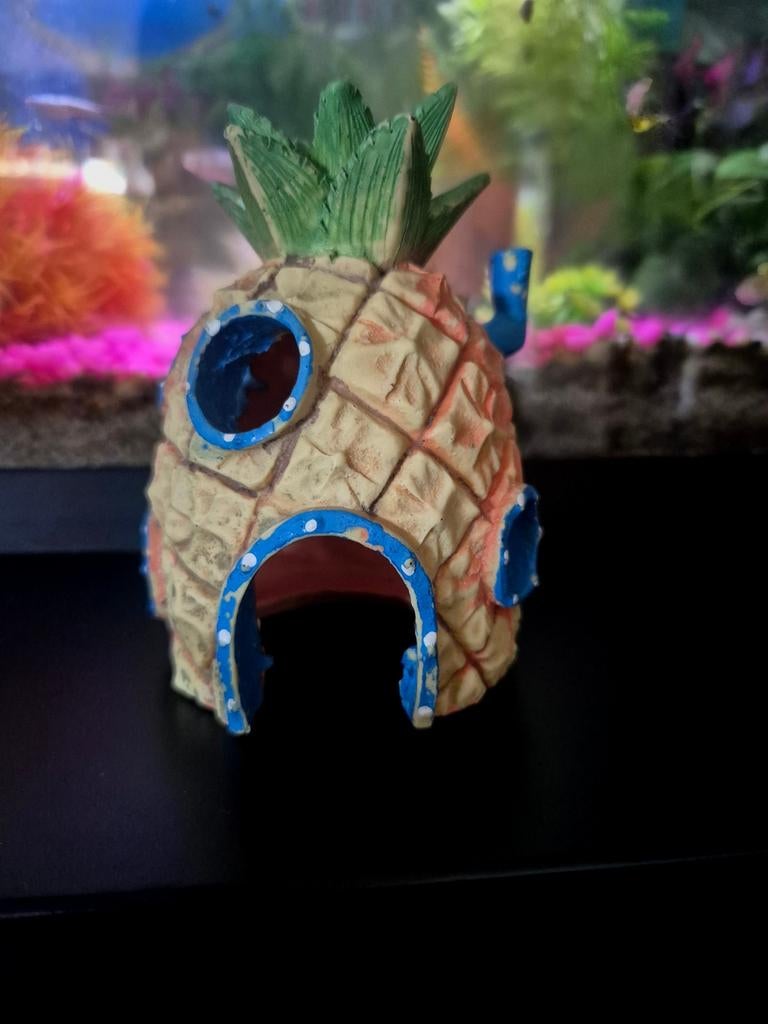 Sponge's Bob huisje, Ophalen