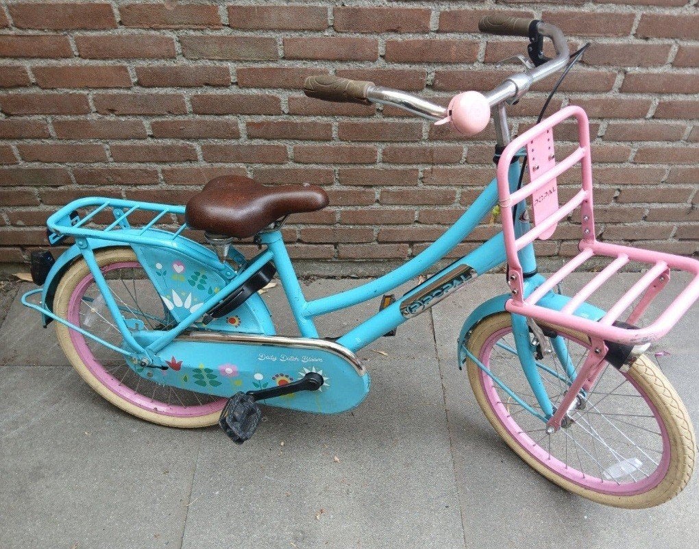 mooie meisjesfiets fiets 20 inch, Ophalen, Popal, 20 inch, Trommelrem