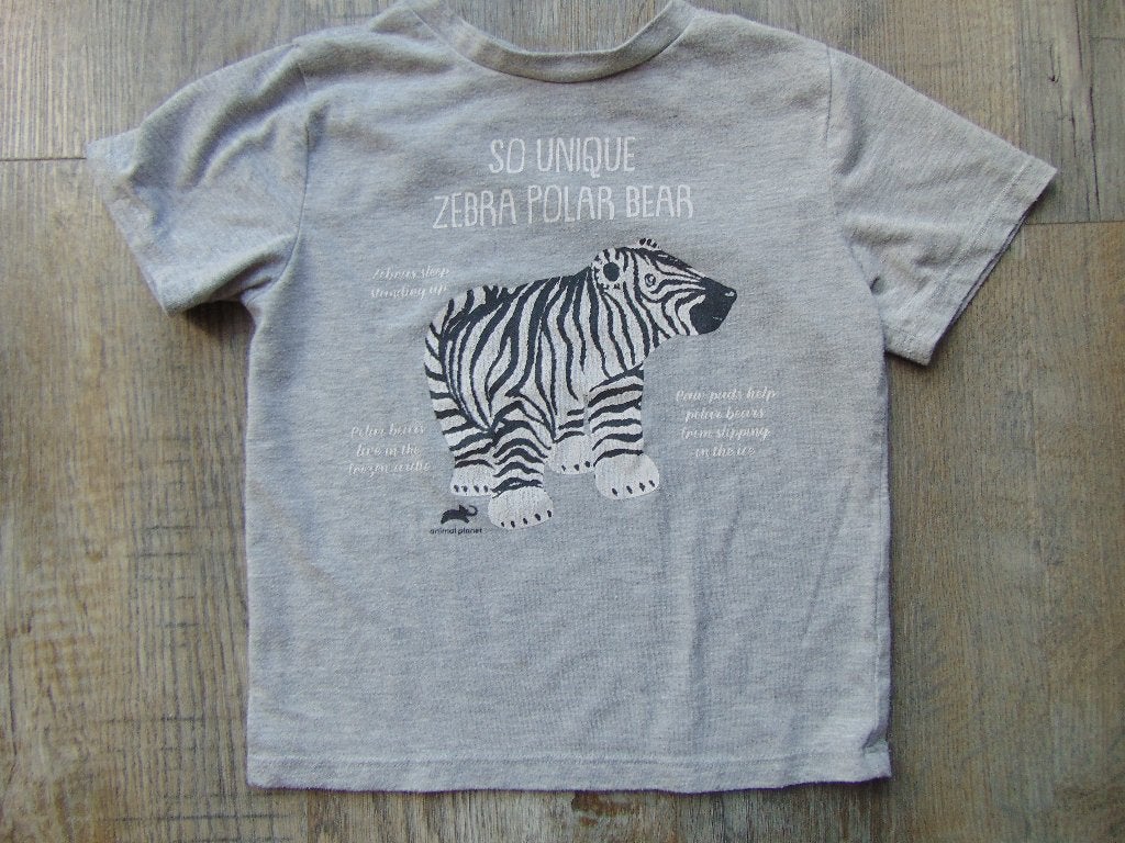 Animal Planet T-shirt grijs maat 116 shirt zebra polar bear, Kinderen en Baby's, Kinderkleding | Maat 116, Gebruikt, Ophalen of Verzenden