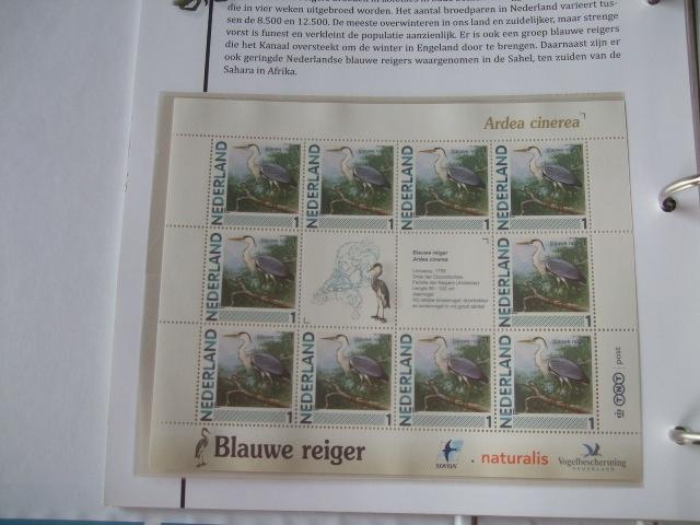 Prachtig vel vogels Blauwe Reiger, Verzenden, Dier of Natuur