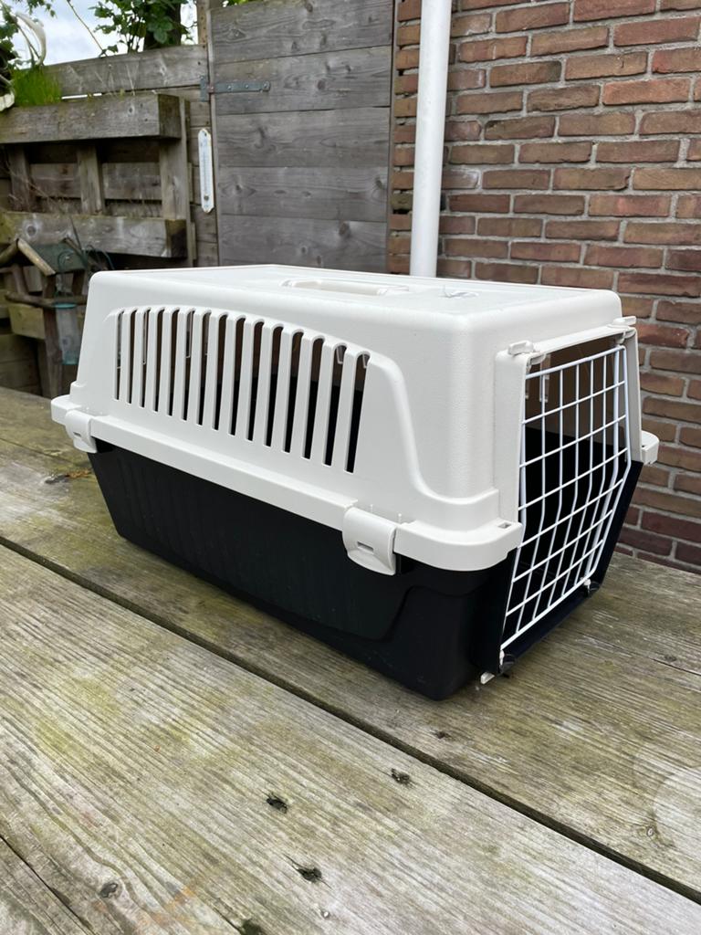 Transport box, reismand feplast atlas 20, cavia,konijn, kat, Ophalen of Verzenden, Zo goed als nieuw