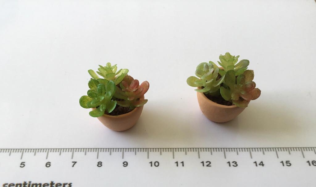Poppenhuis miniaturen plantjes, Ophalen of Verzenden, Nieuw, Poppenhuis
