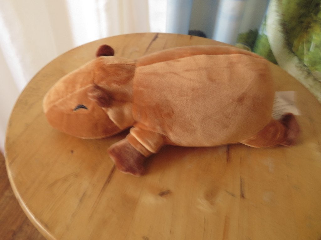 capibara knuffel van Fuzzy Plush Toys, Overige merken, Overige karakters, Ophalen of Verzenden, Zo goed als nieuw