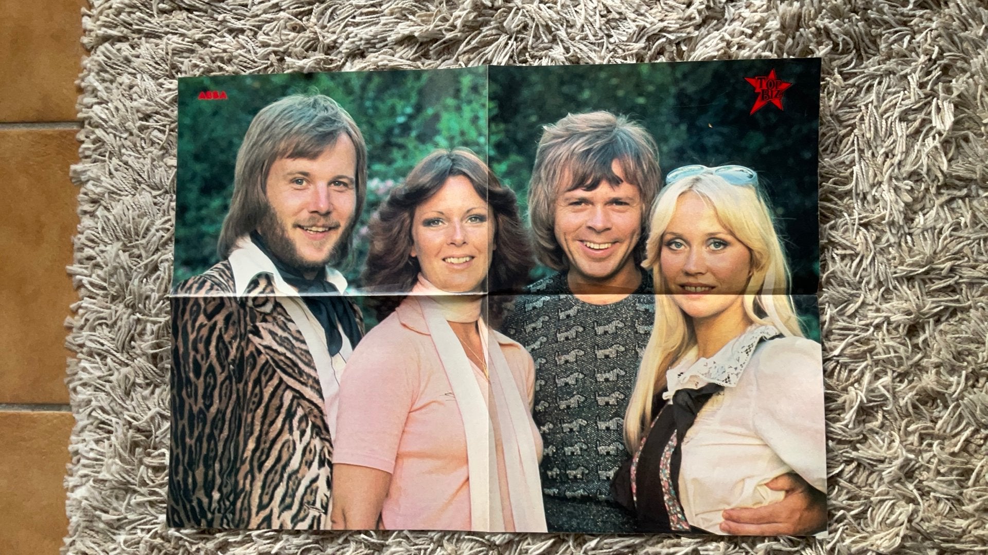 Top Biz ABBA Poster + Achterkant Artikel En Poster ABBA, Ophalen of Verzenden, Zo goed als nieuw, Poster, Artwork of Schilderij