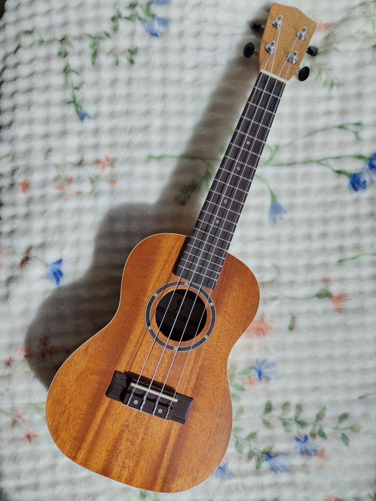 Stagg UC-30 Ukelele met hoes, Ophalen of Verzenden, Zo goed als nieuw, Ukelele