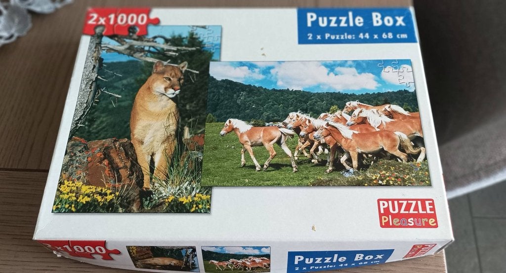 doos met 2 puzzels van 1000 stuks, Ophalen of Verzenden, 500 t/m 1500 stukjes, Gebruikt, Legpuzzel