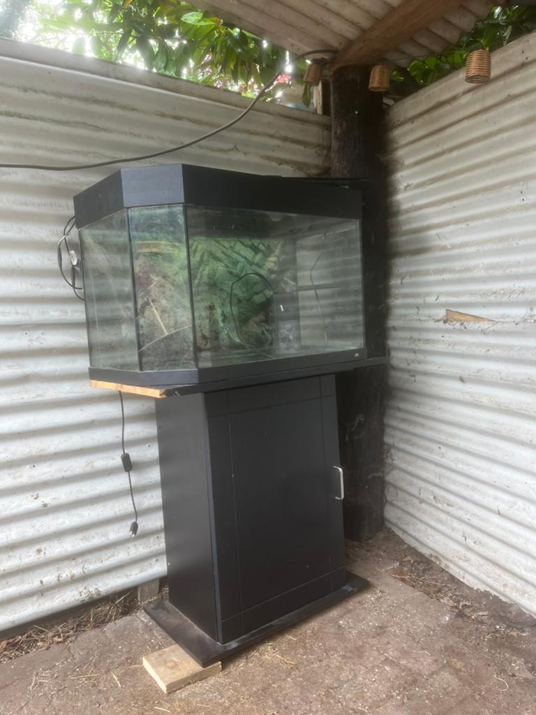 Gebruikt aquarium, Dieren en Toebehoren, Vissen | Aquaria en Toebehoren, Ophalen, Gebruikt, Leeg aquarium