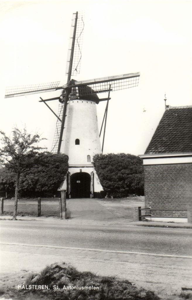 Halsteren, St. Antoniusmolen - ongelopen, Ophalen of Verzenden, 1940 tot 1960, Ongelopen, Noord-Brabant