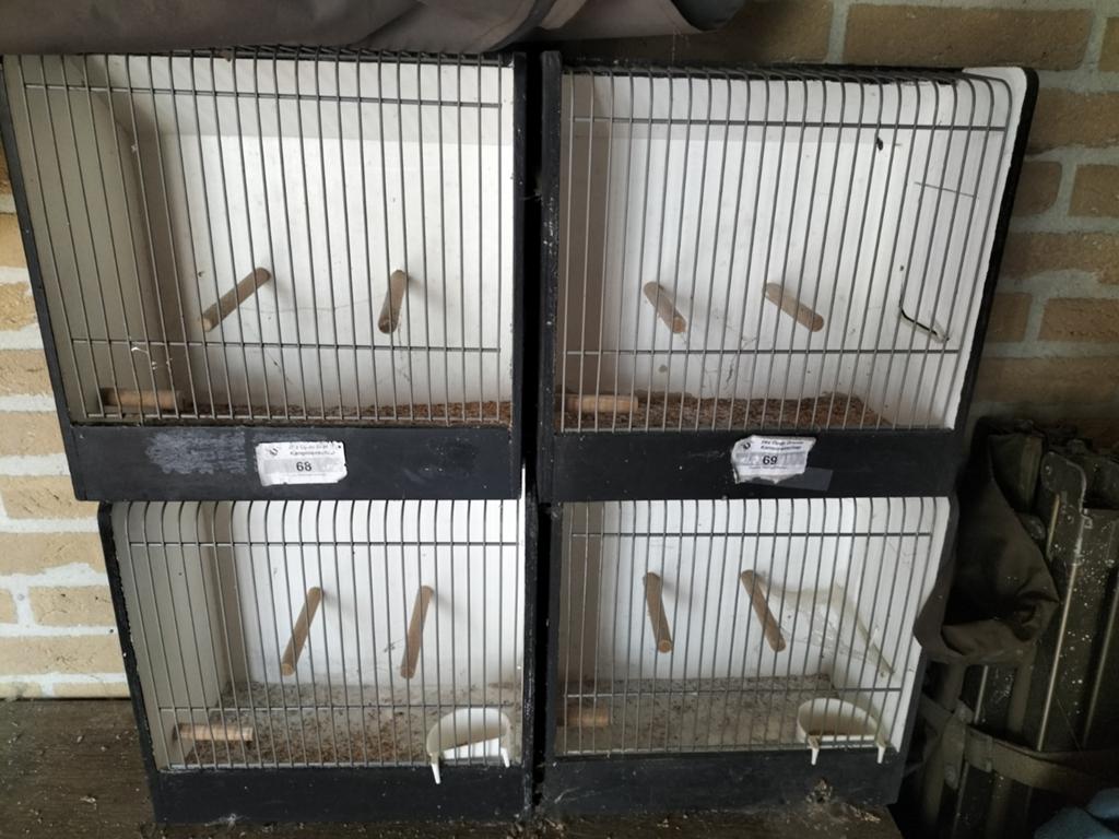 Kweek kooitjes, Ophalen of Verzenden, Hout, Broedkooi of Kweekkooi