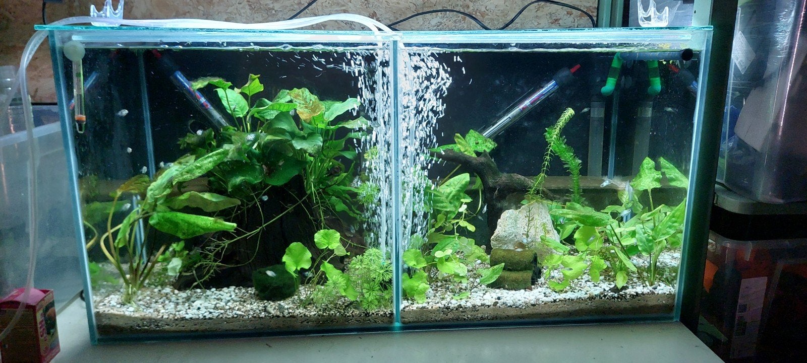 kweek aquarium, Ophalen, Gevuld zoetwateraquarium