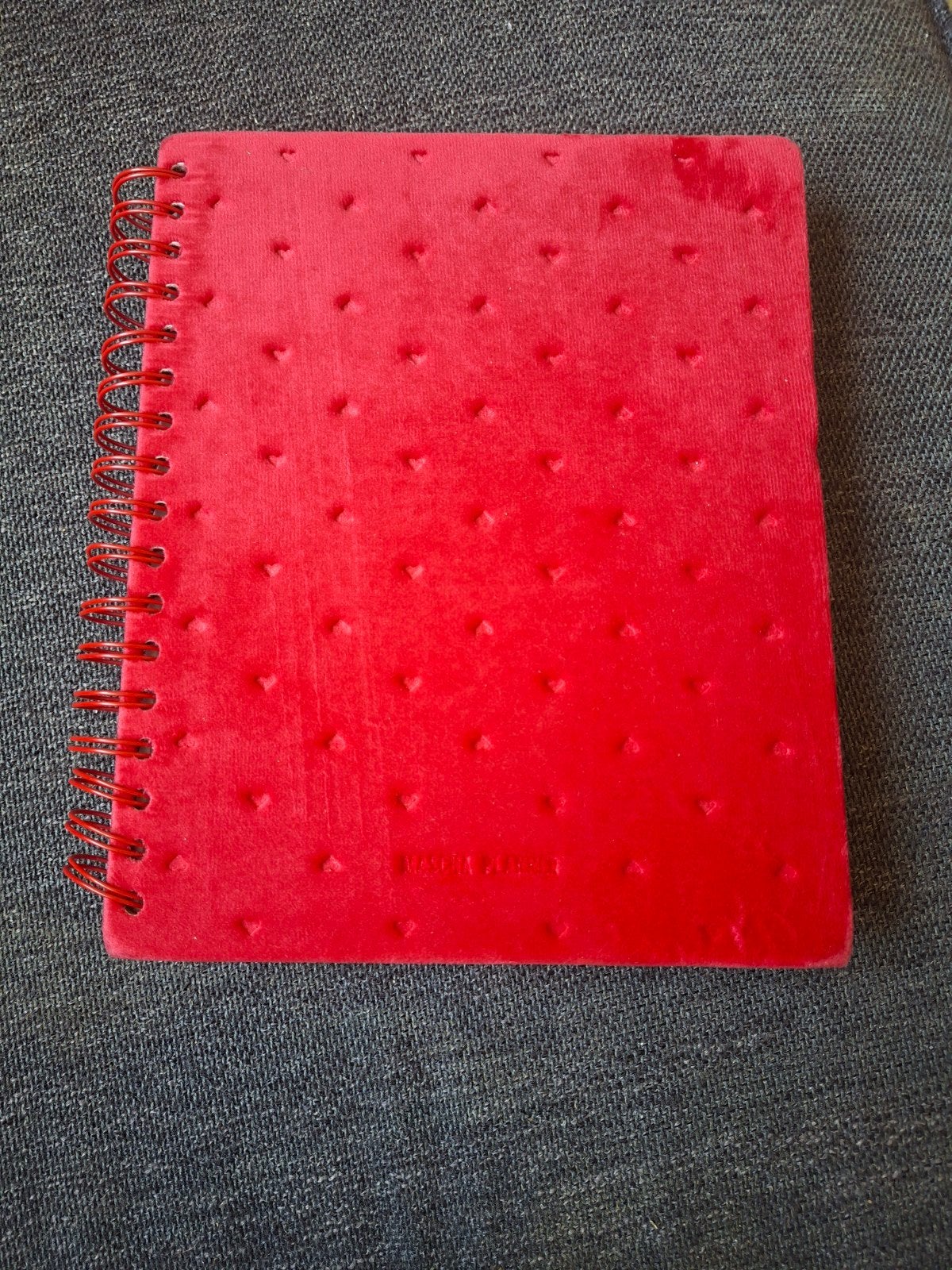 Rode Mascha planner, Ophalen of Verzenden, Nieuw