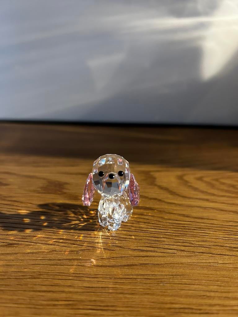 Swarovski | Puppy, Verzamelen, Swarovski, Ophalen of Verzenden, Zo goed als nieuw, Figuurtje