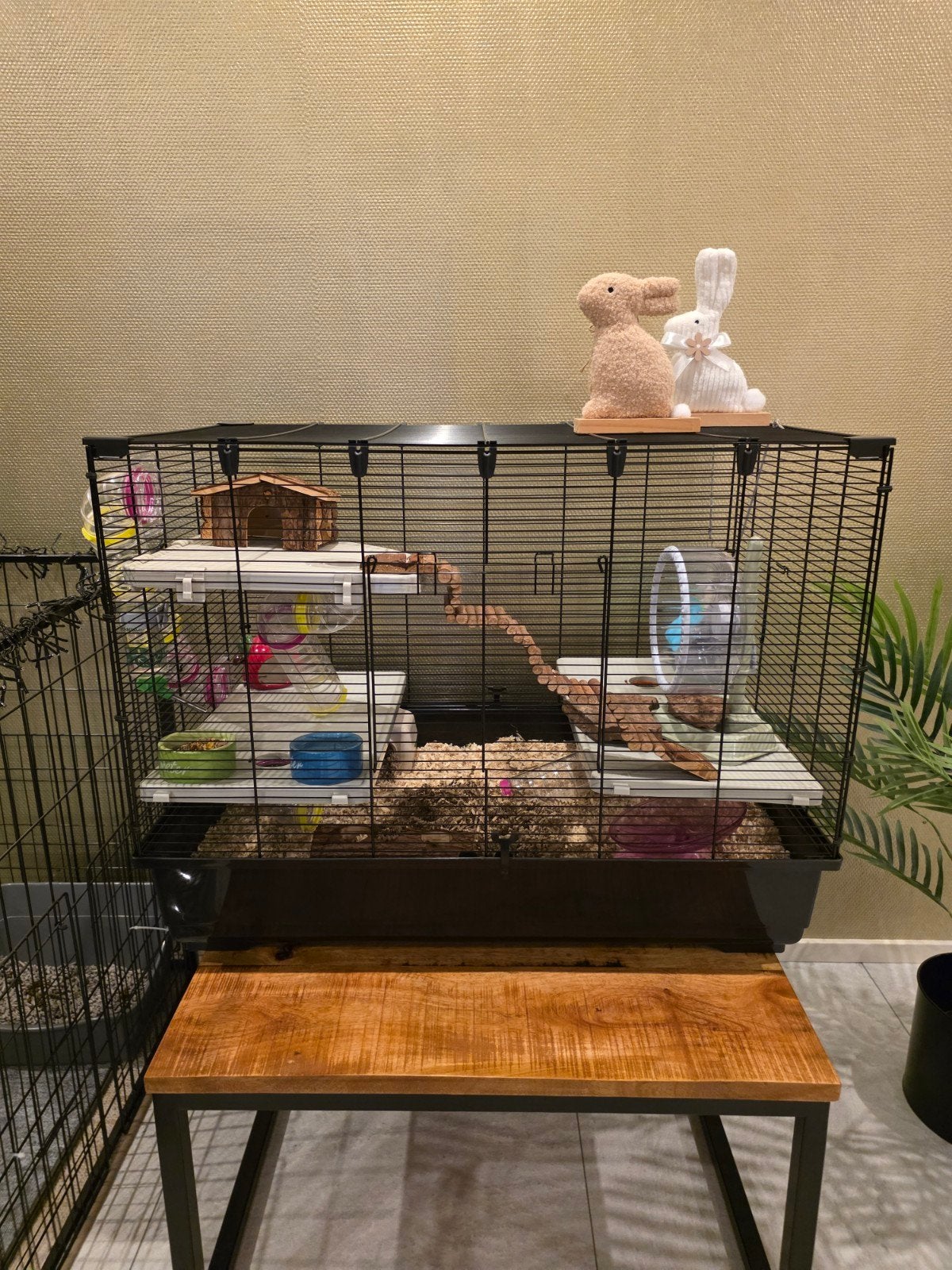 ferplast rattenkooi, Dieren en Toebehoren, Kooi, Zo goed als nieuw, Hamster, 75 tot 110 cm