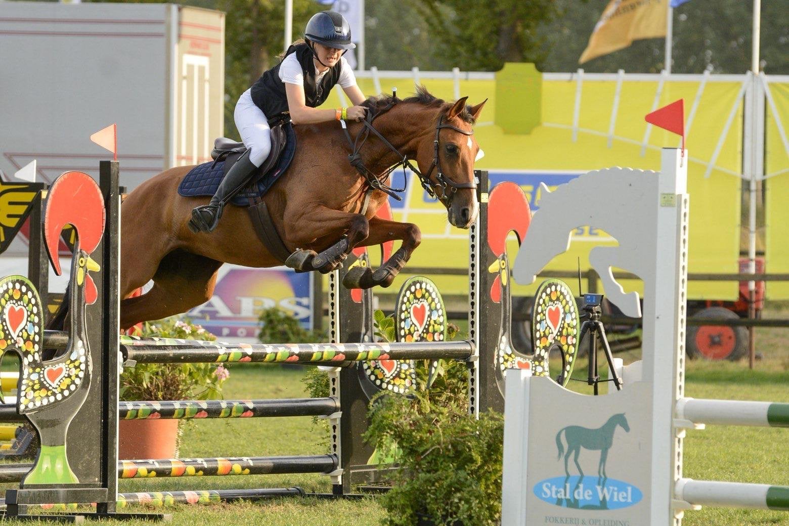 Lieve sport/spring D-pony, Merrie, 7 tot 10 jaar