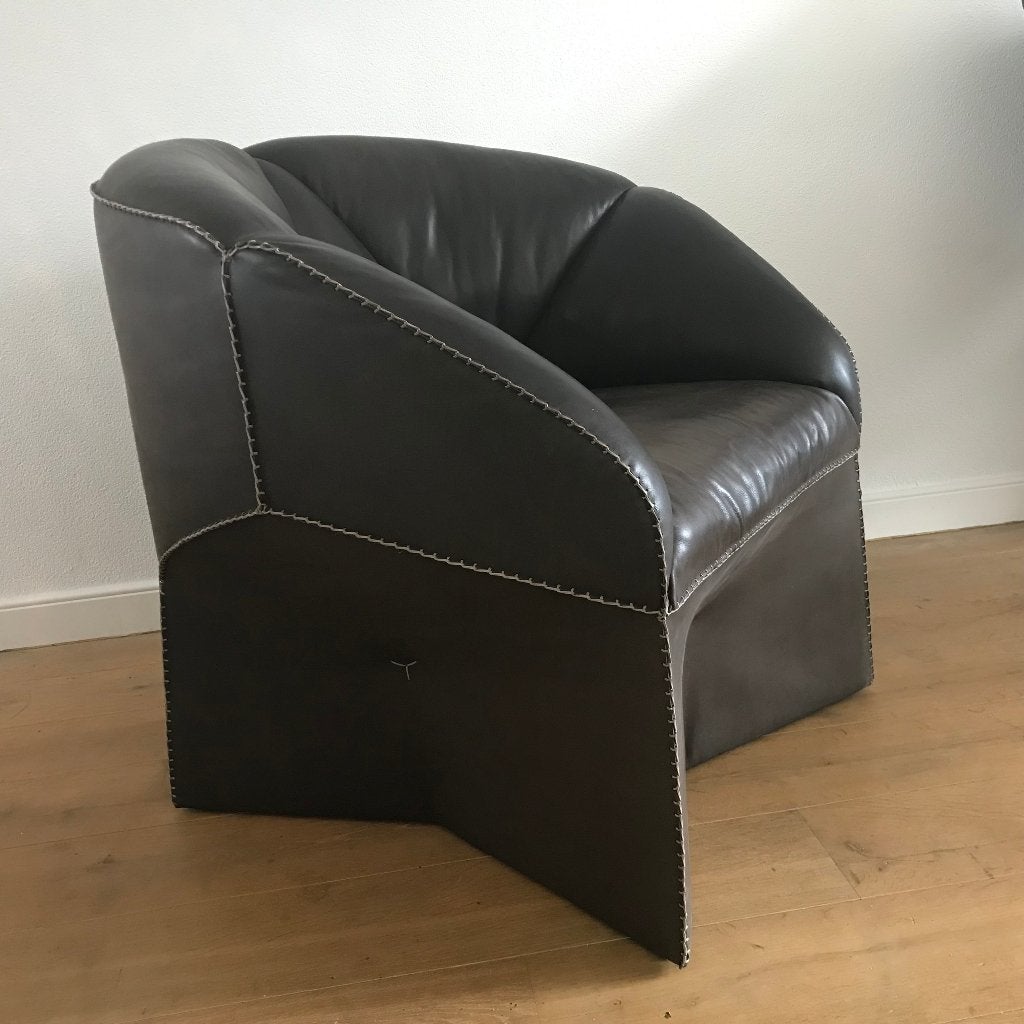 Vintage De Sede DeSede DS315 DS 315 DS-315 fauteuil stoel, Ophalen, Gebruikt, Nvt, Nvt