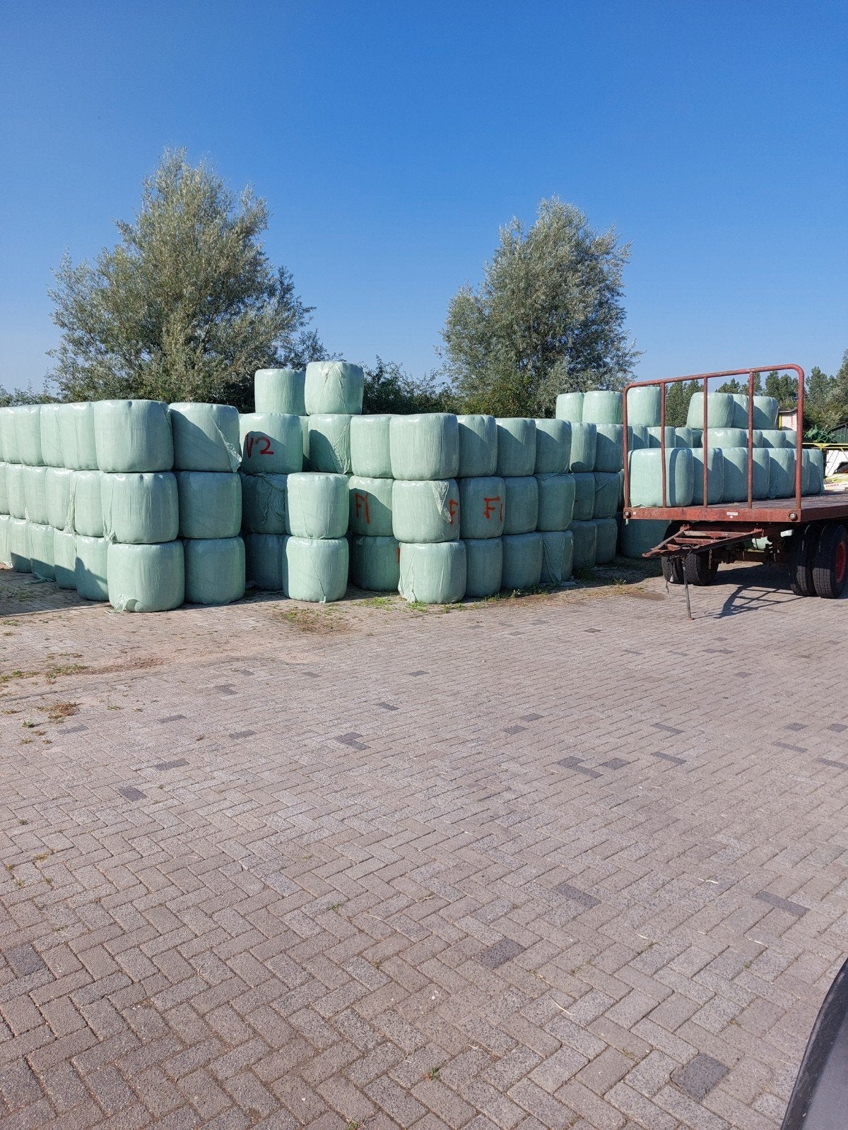 Hooi midi balen eerste en tweede snede voorradig, Dieren en Toebehoren, Ophalen of Verzenden, Vee