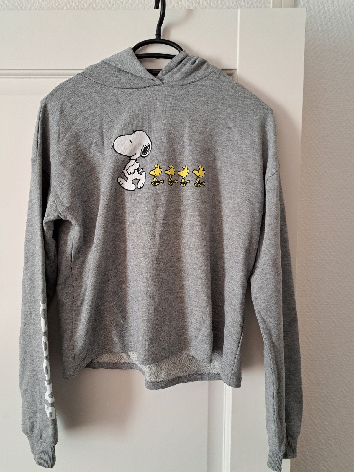 Snoopy hoodie maat 158 - Grijs, Snoopy, Verzenden, Jongen of Meisje, Trui of Vest