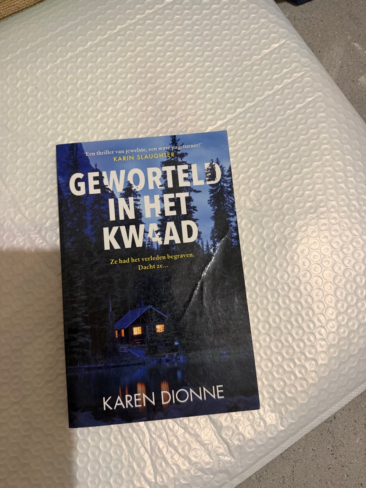 Geworteld in het Kwaad - Karen Dionne (Thriller), Boeken, Ophalen, Zo goed als nieuw, Nederland
