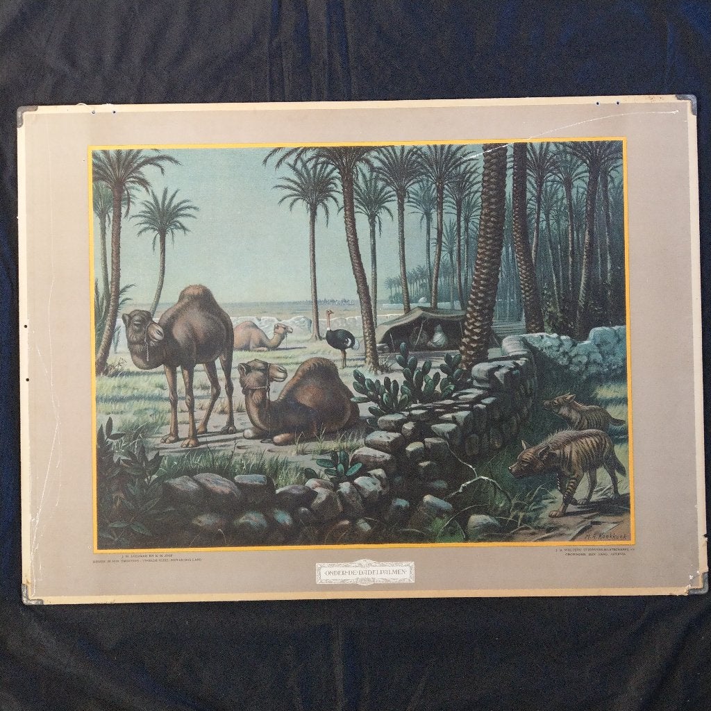 Schoolplaat Onder de dadelpalmen – Koekkoek 1932, Antiek en Kunst, Ophalen of Verzenden, Natuur en Biologie
