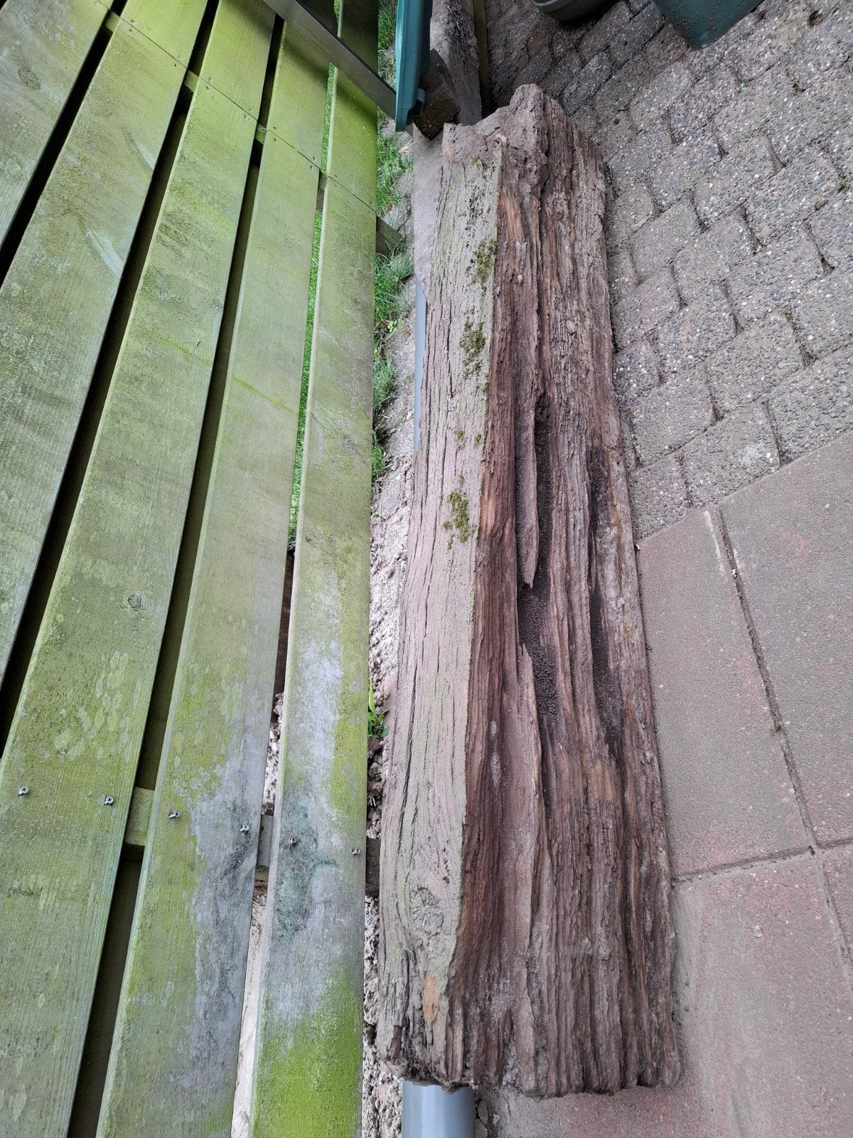 Gratis Biels, Tuin en Terras, Ophalen, Minder dan 3 meter, Hout, 1 tot 2 meter