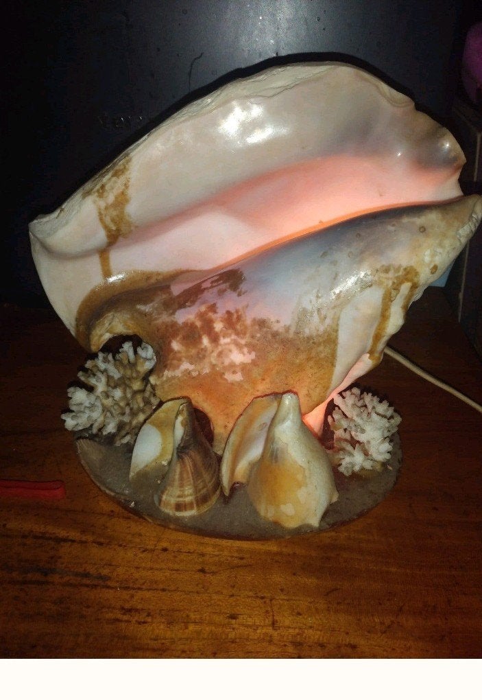 Unieke schelpenlamp - Sfeervolle verlichting, Huis en Inrichting, Bohemian, Overige merken, Natuurlijk materiaal, Meerkleurig