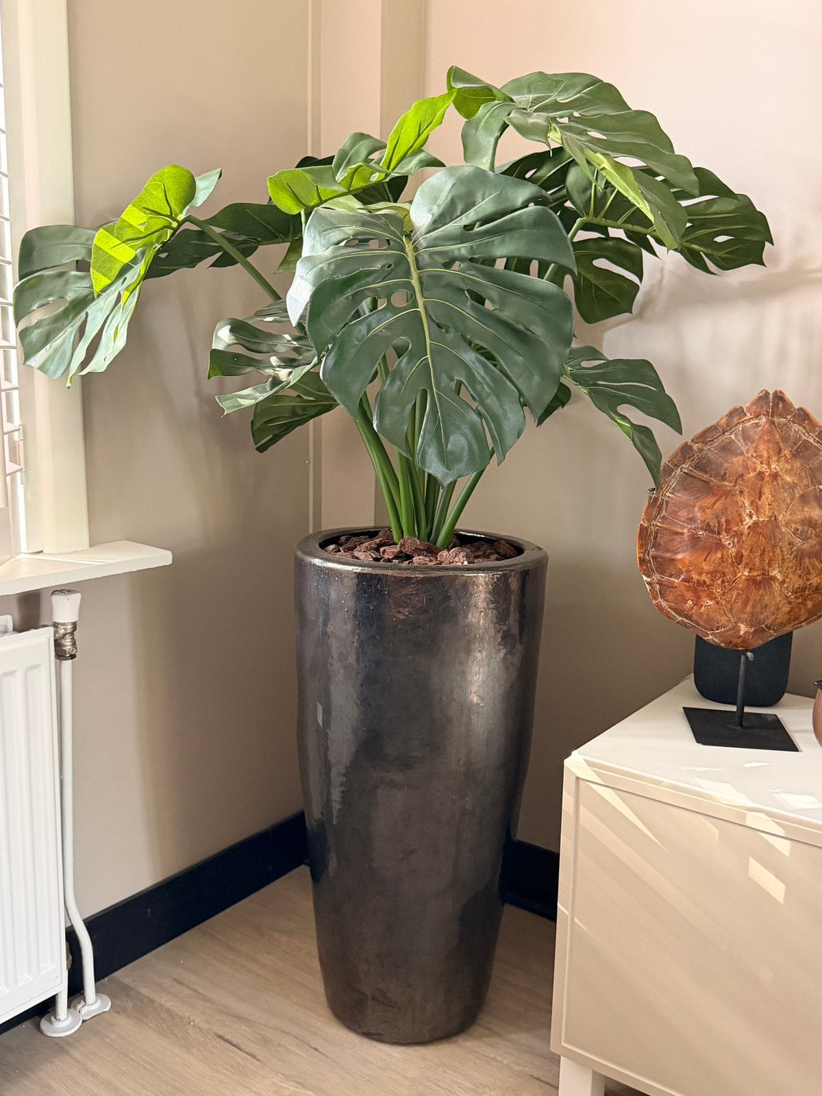 Kustplant incl pot 1.30 hoog en 80 breed (aanpasbaar), Tuin en Terras, Ophalen, Overige soorten